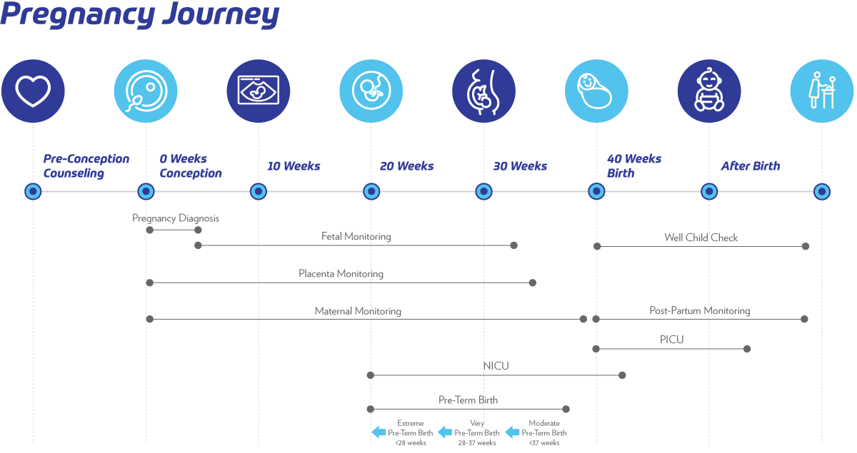 Figure2PregnancyJourney